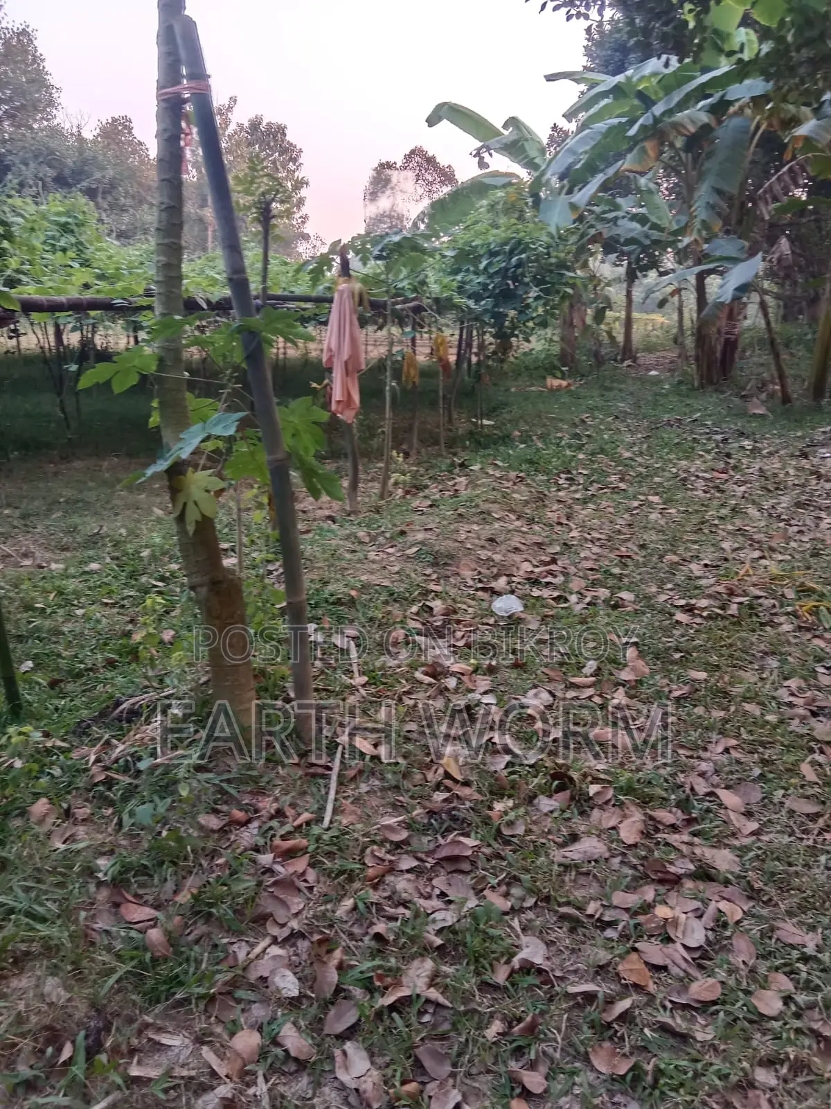 Urgent Land for Sale