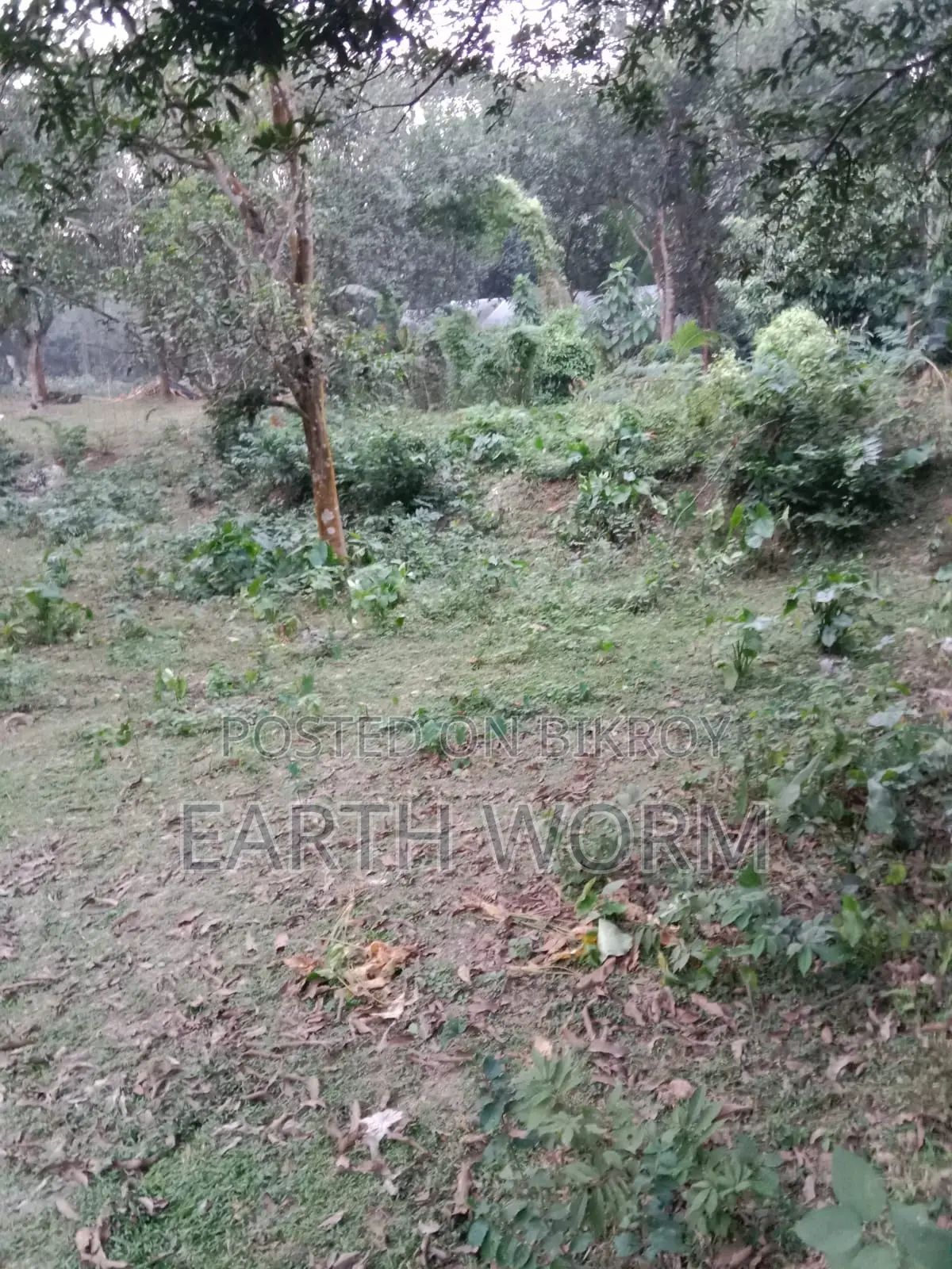 Urgent Land for Sale