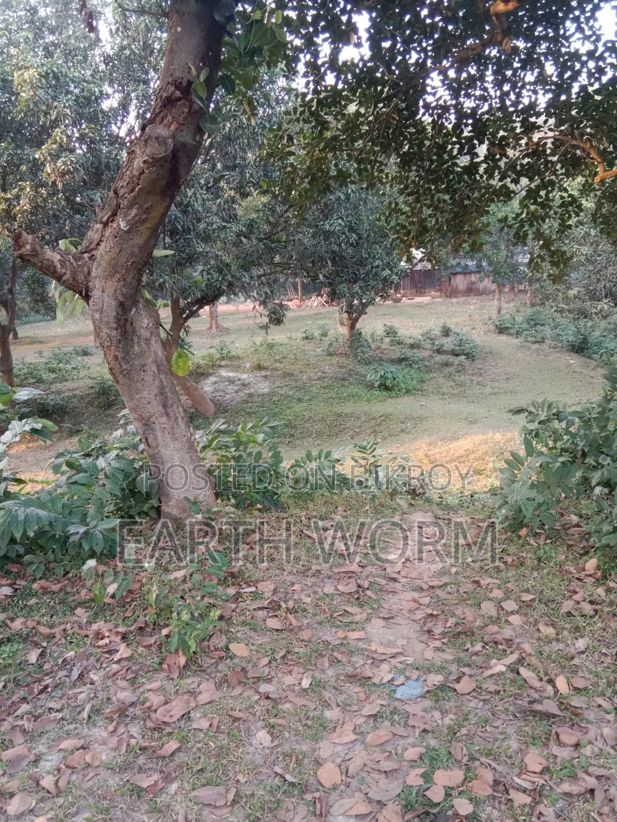 Urgent Land for Sale