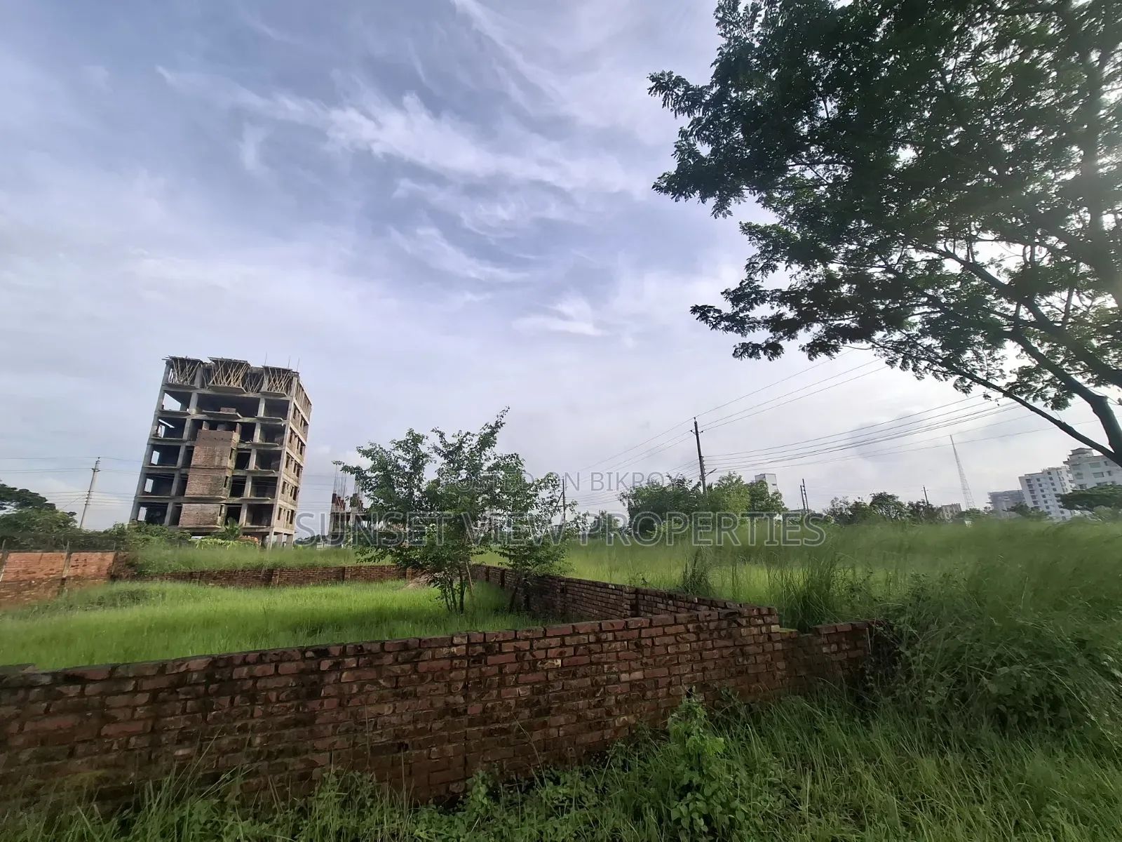 M-Block || South Facing || Urgent Plot Sale