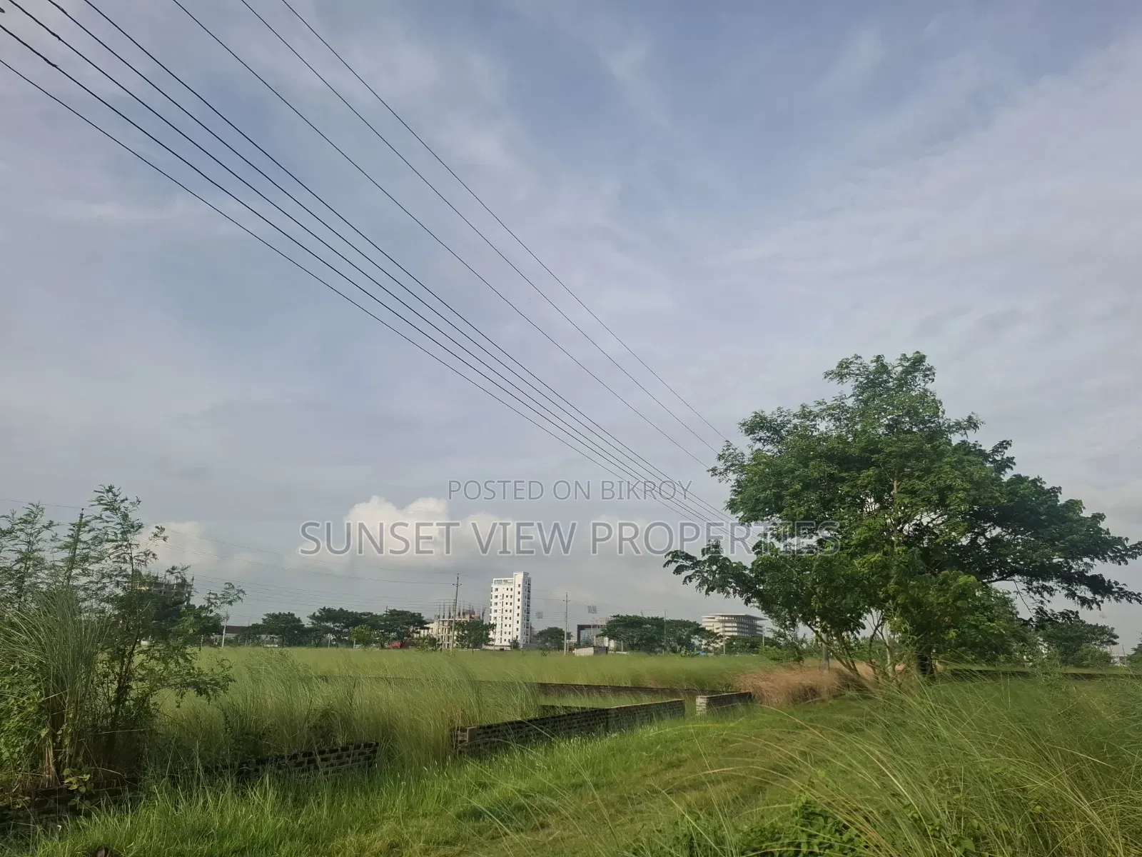 M-Block || South Facing || Urgent Plot Sale