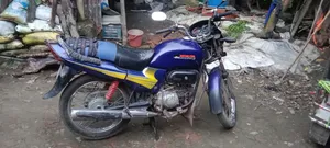 Hero Passion Pro 2014 Blue