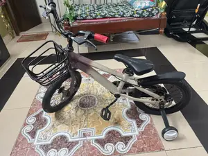 ছেলেদের সাইকেল বিক্রি হবে