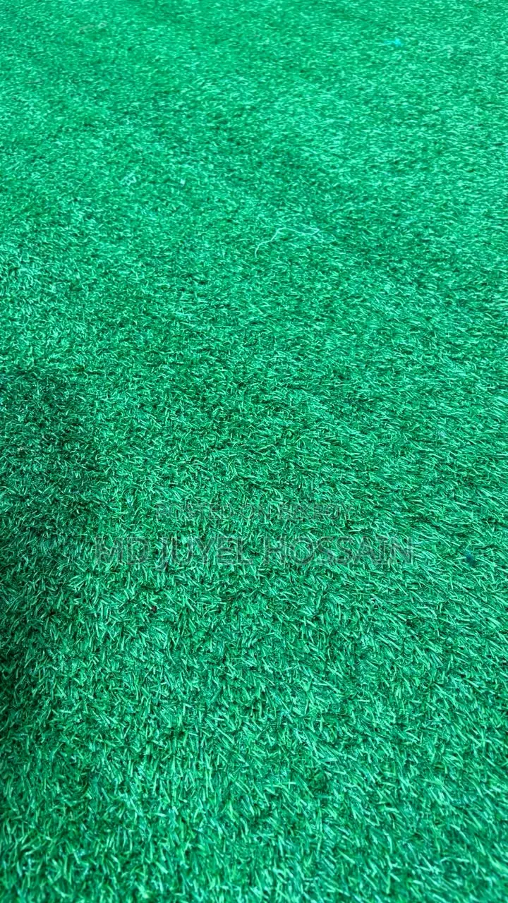 Artificial Grass