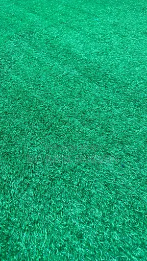Artificial Grass