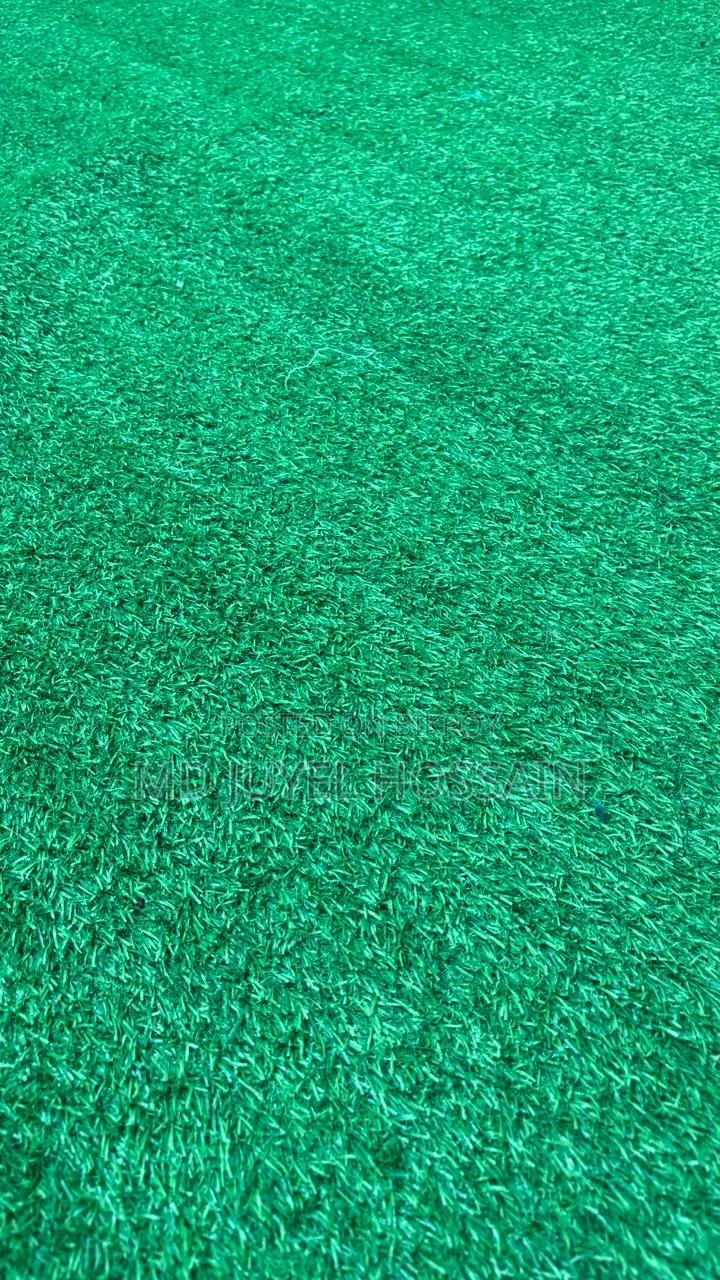 Artificial Grass