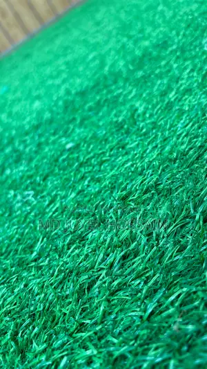 Artificial Grass