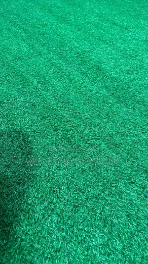 Artificial Grass