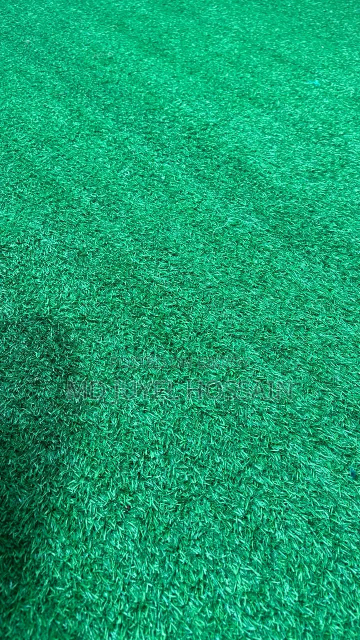 Artificial Grass