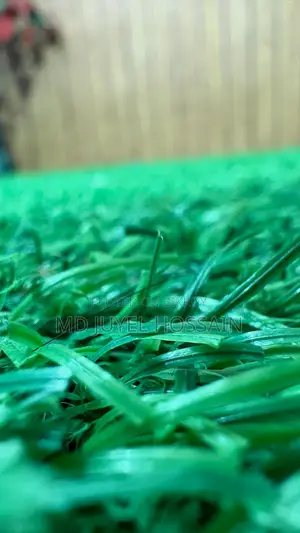 Artificial Grass
