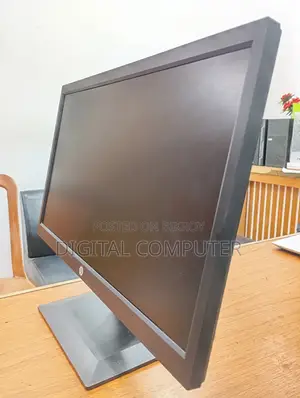 19" HP/Dell Monitor