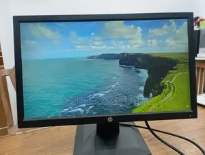 19" HP/Dell Monitor