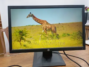 19" HP/Dell Monitor