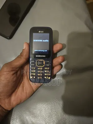 Samsung Guru Music 2 Blue
