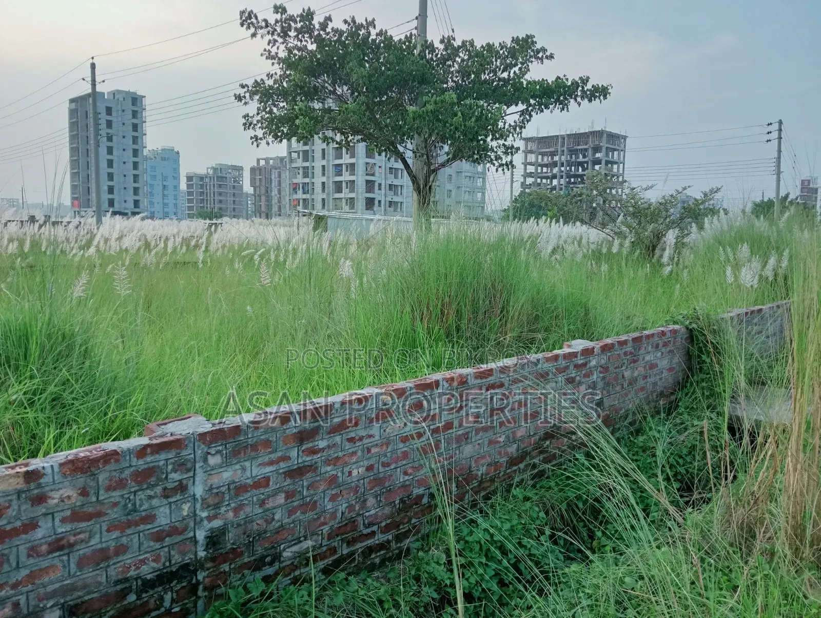 Basundhara Block-N Extension 12 Katha Land for Sale.