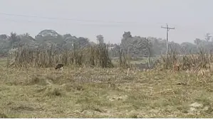 পূর্বাচল রিজেন্ট টাউন প্লট বিক্রি (বি - ব্লক) ৪ কাঠা জমি।