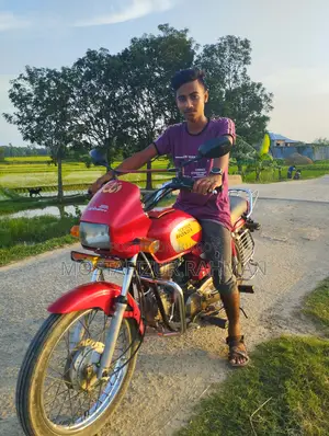 Hero Splendor Plus 2009 Red