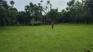 জমি বিক্রি হবে ৭৫ হাজার টাকা শতাংশ