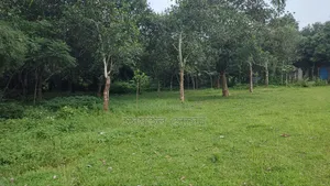 Land for sale 75 thousand taka per decimal