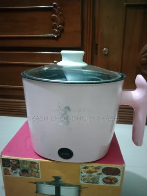 মিনি মাল্টি রাইস কুকার
