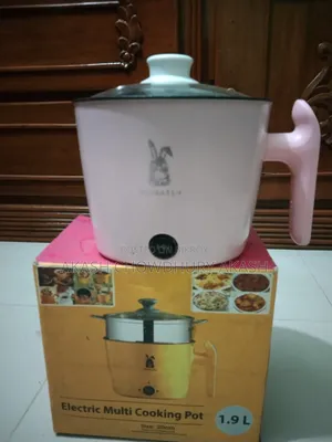 মিনি মাল্টি রাইস কুকার