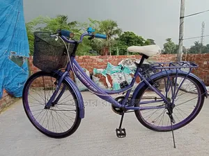সেভেন্টি ওয়ান ২৬ ইঞ্চি লেডিস সাইকেল