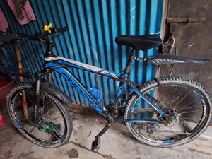 ফিনিক্স বাইসাইকেল