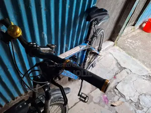 ফিনিক্স বাইসাইকেল