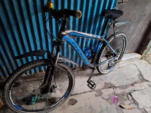 ফিনিক্স বাইসাইকেল