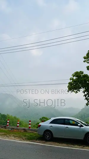 Toyota Allion 2011 Silver
