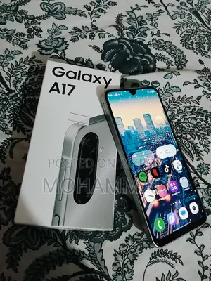 Samsung Galaxy A17 128 GB Gray