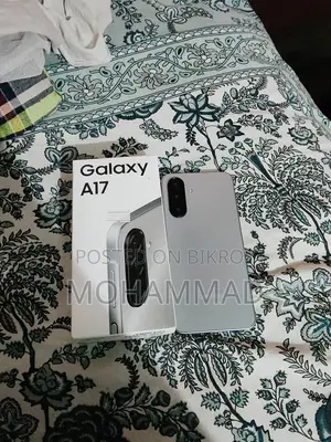 Samsung Galaxy A17 128 GB Gray
