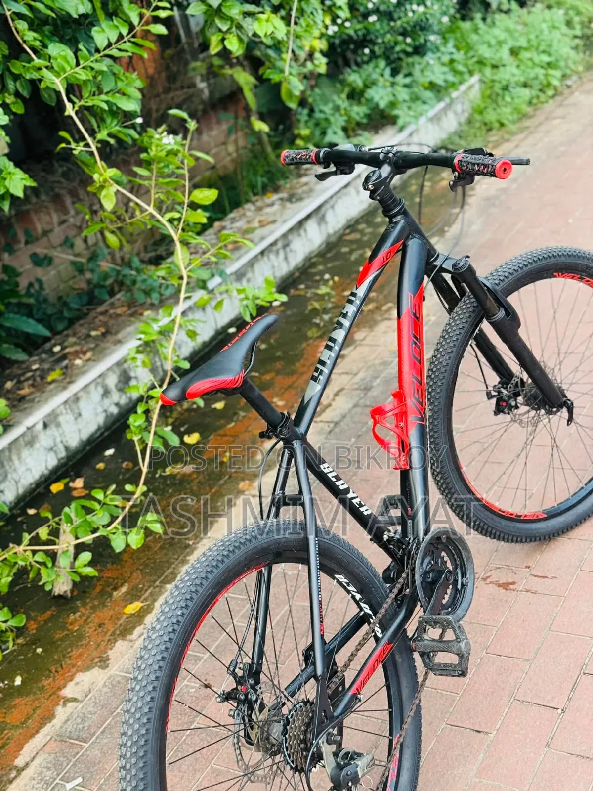 Veloce Slayer 1.0 আরজেন্ট সেল
