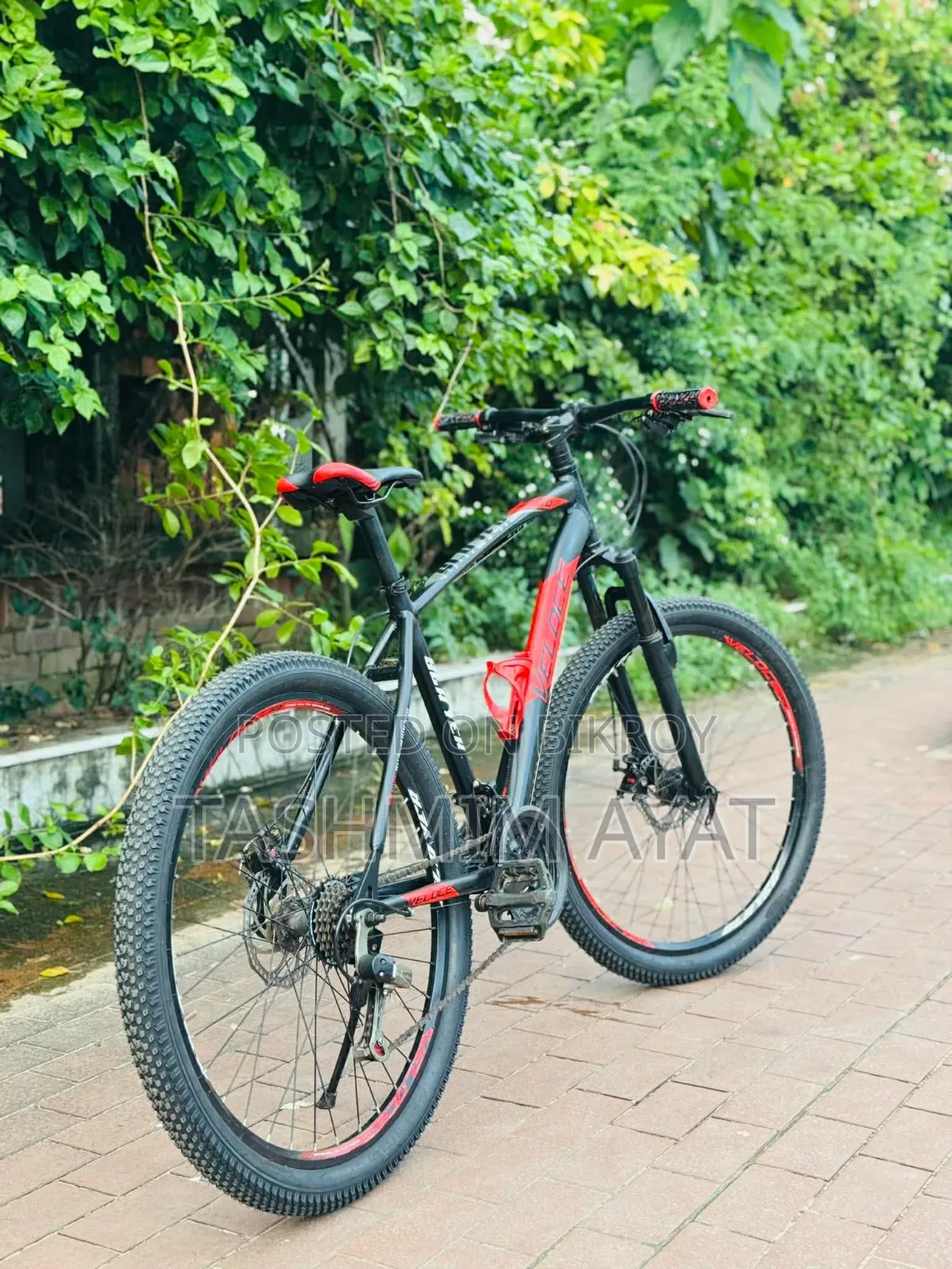 Veloce Slayer 1.0 আরজেন্ট সেল