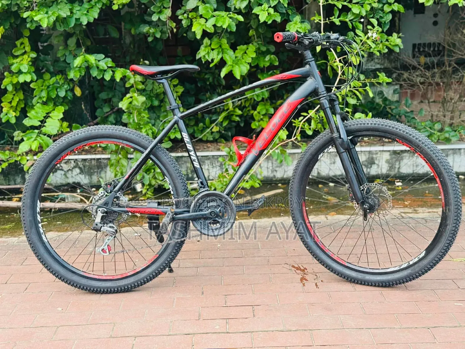 Veloce Slayer 1.0 আরজেন্ট সেল