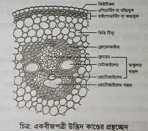 HSC Udvash books for sale