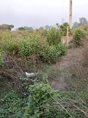 জমি বিক্রি