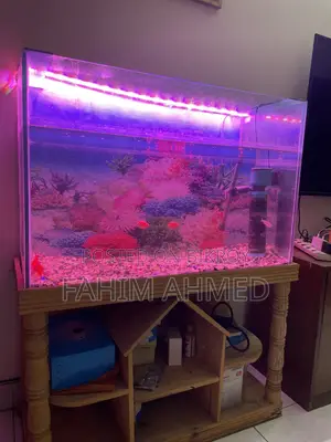 Aquarium Full Setup