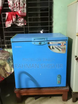 কনিয়ন চেস্ট ডিপ ফ্রিজার ১০০% কার্যক্ষম কাঠের স্ট্যান্ড সহ