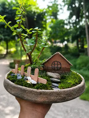 জেড জেড প্ল্যান্ট বিক্রি