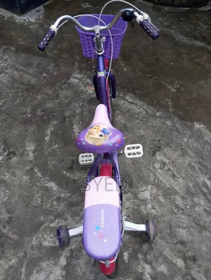 Ladies Bicycle