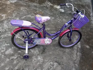 লেডিস বাইসাইকেল