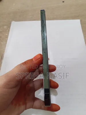 অ্যাপল আইফোন ১৩ প্রো ম্যাক্স ১২৮ জিবি গ্রিন