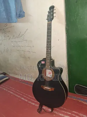Signature Guiter