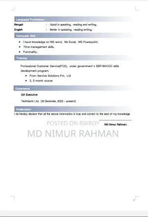 Computing IT CV