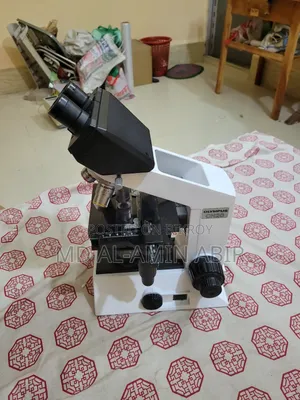 Olympus Microscope