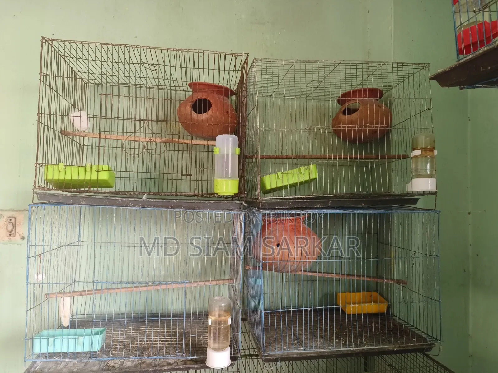 পাখির খাঁচা