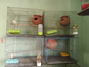 পাখির খাঁচা