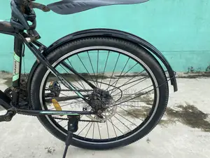 দুরন্ত বাইসাইকেল