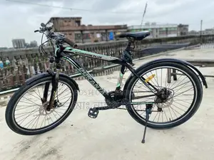 দুরন্ত বাইসাইকেল